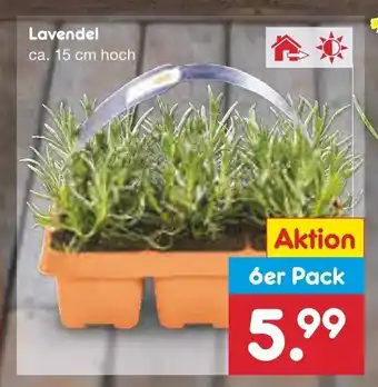 Netto Marken-Discount Lavendel 6st Angebot