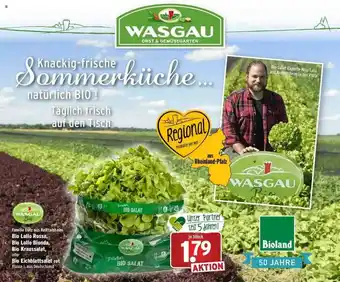 Wasgau Famille Lutz Aus Knittelsheim Bio Lollo Rossa Oder Bionda, Bio Kraussalat Oder Bio Eichblattsalat Rot Angebot