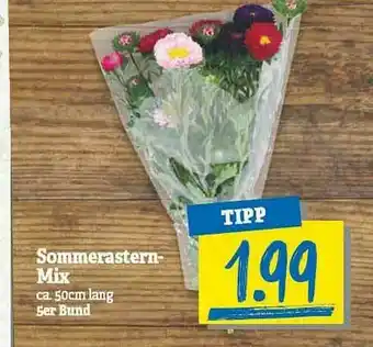 NP Discount Sommerastern Mix Angebot