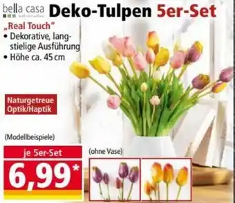 Norma Bella Casa Deko Tulpen 5er Set Angebot