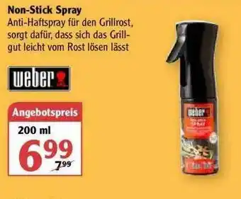 Globus Non-stick Spray Weber Angebot