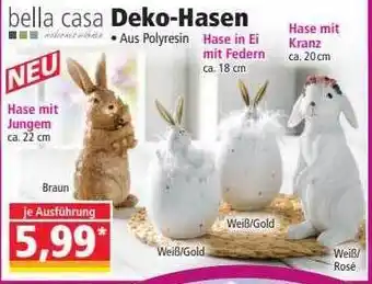 Norma Bella casa deko-hasen Angebot