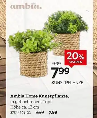 XXXLutz Kunstpflanze ambia home kunstpflanze Angebot