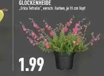 Marktkauf Glockenheide Angebot