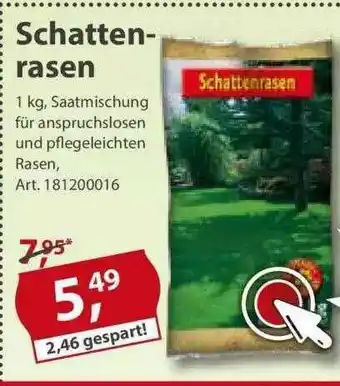 Sonderpreis Baumarkt Schattenrasen Angebot