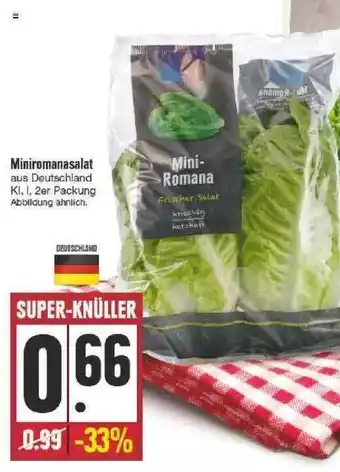 Edeka Miniromanasalat Angebot