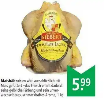 Marktkauf Maishähnchen Angebot