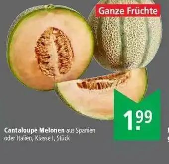 Marktkauf Cantaloupe Melonen Angebot