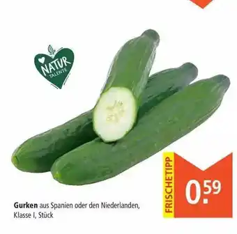 Marktkauf Gurken Angebot