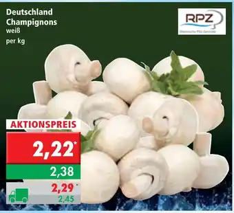 L. STROETMANN GROSSMARKT Deutschland Champignons Angebot