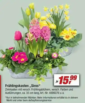 toom Baumarkt Frühlingskasten „siros“ Angebot