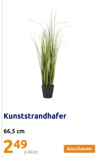 Action Kunststrandhafer Angebot