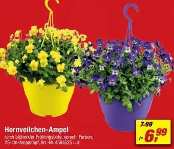 toom Baumarkt Hornveilchen - Ampel Angebot