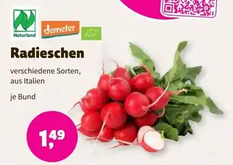 Biomarkt Radieschen Angebot