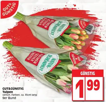 Edeka Gut & Günstig Tulpen 9er Bund Angebot