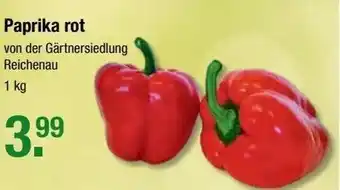 V Markt Paprika rot 1kg Angebot