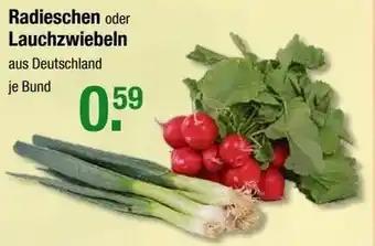 V Markt Radieschen oder Lauchzwiebeln Angebot