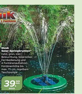 NETTO Mauk solar-springbrunnen Angebot