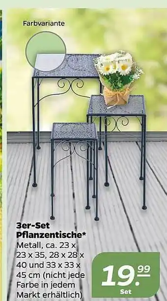 NETTO 3er-set pflanzentische Angebot