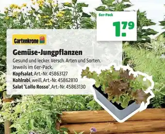 Hagebau Gartenkrone Gemüse Jungpflanzen Angebot