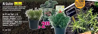 Hornbach Kräuter floraself Angebot