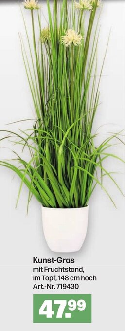 Handelshof Kunst-Gras Angebot