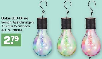 Handelshof Solar LED Birne Angebot
