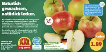 PENNY Deutsche rote Wetteräpfel 3 kg Beutel Angebot