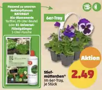 PENNY Stiefmütterchen 6er Tray Angebot