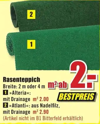 B1 Discount Baumarkt Rasenteppich Angebot