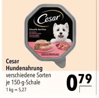 CITTI Markt Cesar Hundenahrung 150g Angebot