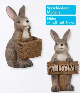 Aldi Nord Deko-hase Angebot