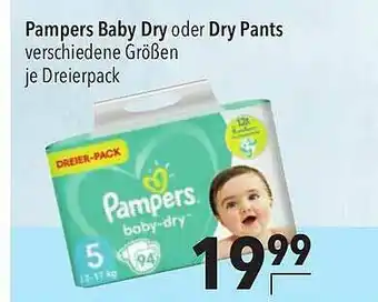 CITTI Markt Pampers Baby Dry Oder Dry Pants Angebot