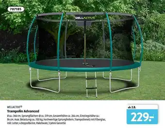 Aldi Süd Wellactive Trampolin Advanced Angebot