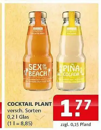 Getränkehaus Cocktail Plant Angebot