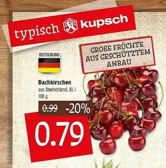 Kupsch Dachkirschen Angebot