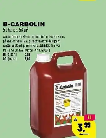 Leitermann Baumarkt B-carbolin Angebot