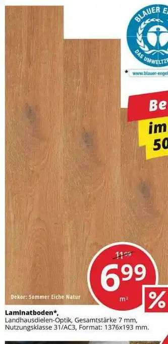 Hammer Laminatboden Angebot