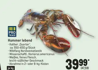 METRO Hummer lebend Angebot