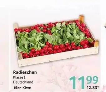 Selgros Radieschen Angebot