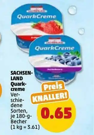 PENNY Sachsenland quarkcreme Angebot