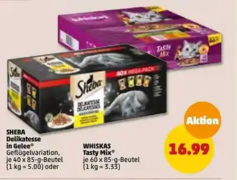 PENNY Sheba delikatess in gelee oder whiskas tasty mix Angebot