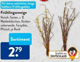 Aldi Süd Frühlingszweige Angebot