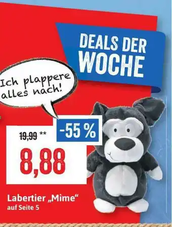 Stolz Labertier „mime” Angebot