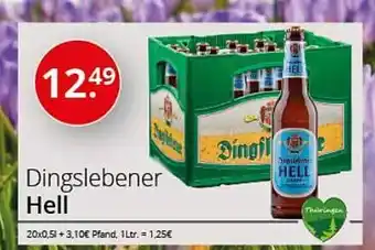 Sagasser Dingslebener hell Angebot