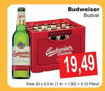 Getränke Göbel Budweiser budvar Angebot