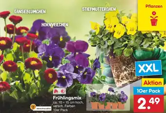 Netto Marken-Discount Frühlingsmix 10er Pack Angebot