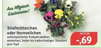 Feneberg Stiefmütterchen oder hornveilchen Angebot