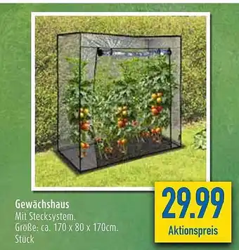 diska Gewächshaus Angebot