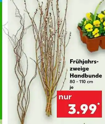 Kaufland Frühjahrs-zweige handbunde Angebot